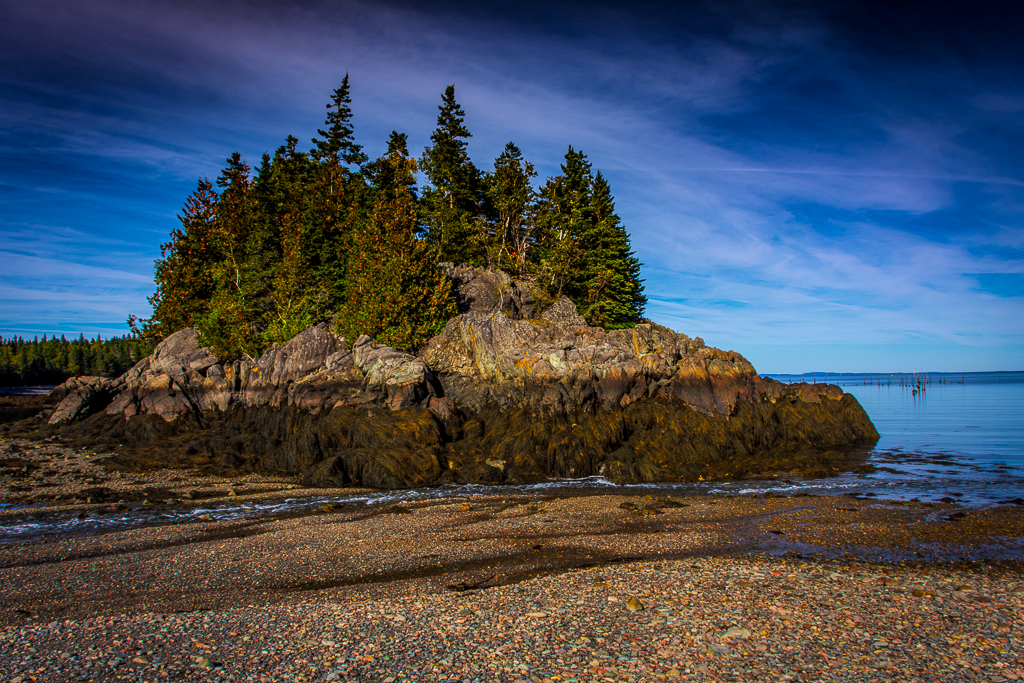 Realistic Comp In Class M By Darlene Whitmore For Low Tide In Maine JAN-2019.jpg